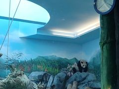 -武汉动物园