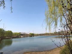 -河北省园博园