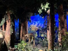 -大连自然博物馆·地球展厅