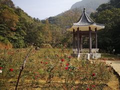 -广州市石门国家森林公园