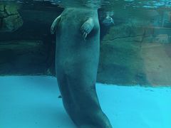 -海合安成都极地海洋公园