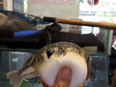 -观桥阁(锦溪店)