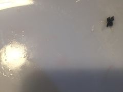 -汉丽轩韩式自助烤肉(大学城龙湖U城天街A馆店)