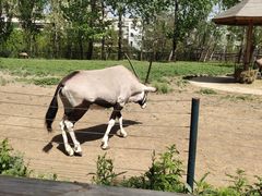 -大连森林动物园