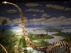 -自贡恐龙博物馆