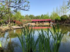 -洪湖家庭农场·团建·露营·会议