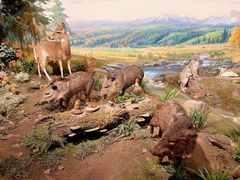 -陕西自然博物馆