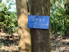 -中山市树木园