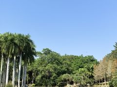 -中国科学院西双版纳热带植物园