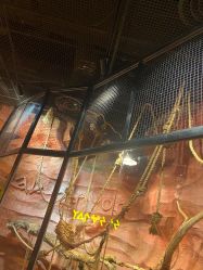 -Zoolung Zoolung动物主题公园(海信广场店)