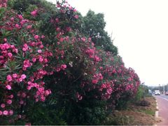 iphone_upload_pic-太湖湾开元名庭大酒店