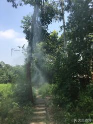 -成都飞越丛林探险乐园(锦绣城园区)