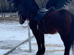 -沈阳奥体冰雪嘉年华