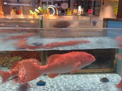 -阿伟海鲜楼·福建菜(延寿店)