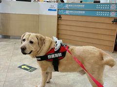 -美联众合动物医院·24h转诊中心