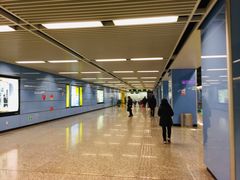 -大龙山(地铁站)