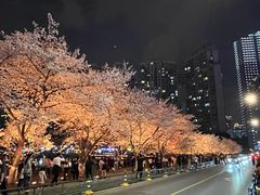 -西北湖绿化广场