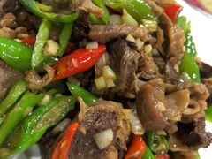 -青花瓷北方饺子城(吾悦广场店)
