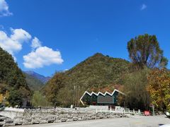 -牛背梁国家森林公园