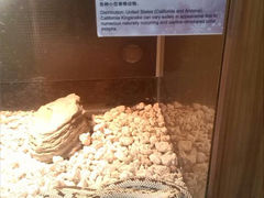android_upload_pic-上海大自然野生昆虫馆