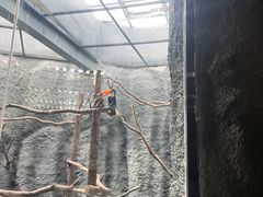 -武汉动物园