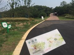 -盘龙城国家考古遗址公园