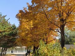 -长春世界雕塑园冰雪艺术天地