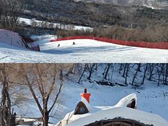 -东北亚滑雪场
