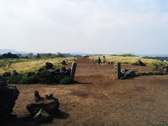 -涉地可支