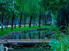-春风习习