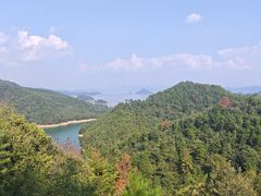 -浔味·山屿湖·正宗淳牌全鱼宴老字号