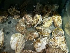 -天天渔港(杏林街店)