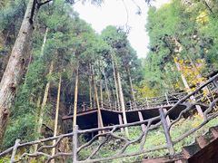 -刘伯温故里景区百丈漈