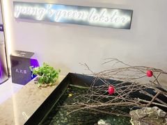 大堂-杨氏青龙虾·羊蝎子(金盛路总店)