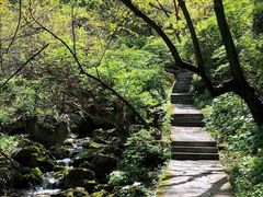 -西安祥峪森林公园