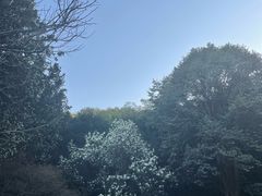-杭州植物园