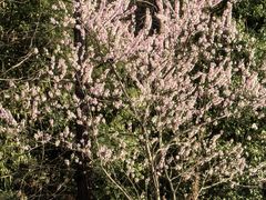 -幕燕滨江·燕子矶公园