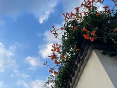 -青果巷历史文化街区
