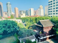 -复旦大学附属华山医院(总院)