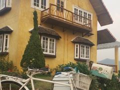 -黄色小屋