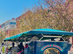 -天津五大道文化旅游区