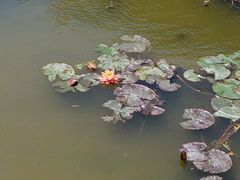 -兔途体检(十里堡青年路店)