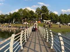 -美兰湖景区