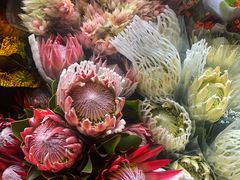 -昆明国际花卉拍卖交易中心