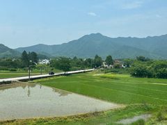 -黄牛肉馆·皖南土菜