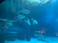 -常州海昌海洋探索馆