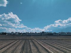 -喜林苑·稻田餐厅(品相府店)