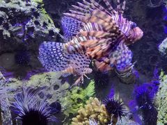 -太平洋海底世界