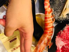 -鲜入围煮花胶鸡海鲜火锅