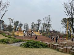 -铁山坪森林公园